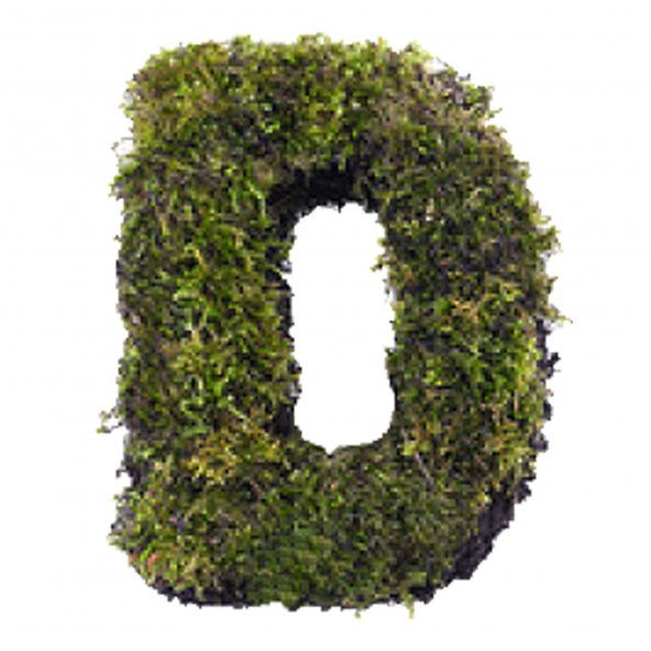FLORALMOSS DOĞAL YOSUN KAPLI AHŞAP D  HARFi - 1