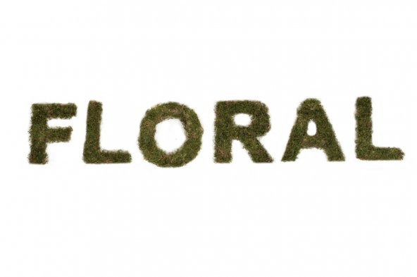 FLORALMOSS DOĞAL YOSUN KAPLI AHŞAP D  HARFi - 3
