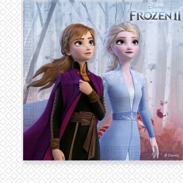 Nedi Peçete Frozen-2 20li (1 paket)