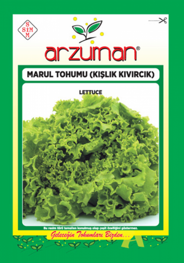 Kışlık Kıvırcık Marul Tohumu - 10 gr