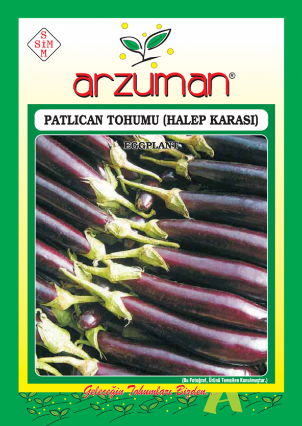 Halep Karası Patlıcan Tohumu - 10 gr