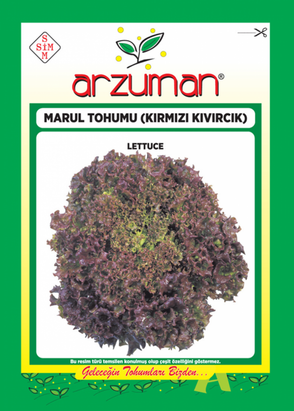 Kırmızı Kıvırcık (İthal) Marul Tohumu - 5 gr