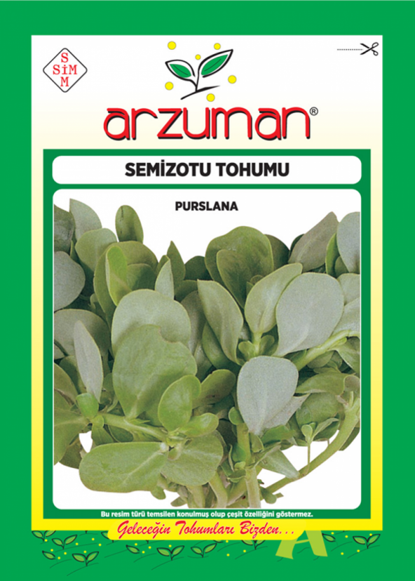 Semizotu Tohumu - 25 gr