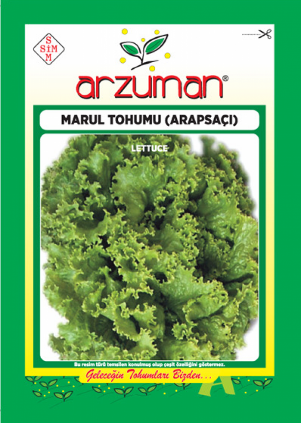 Arapsaçı Kıvırcık Marul Tohumu - 500 gr