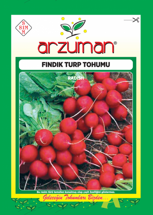 Fındık Turp Tohumu - 100 gr