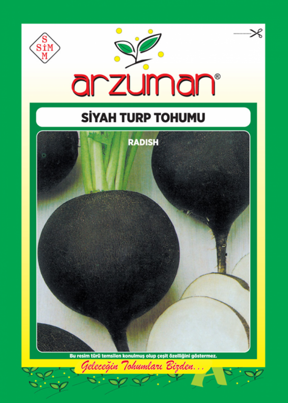 Siyah Turp Tohumu - 100 gr