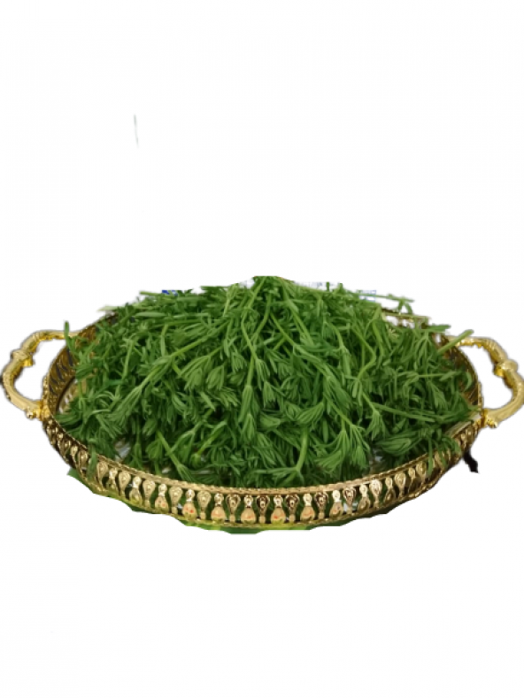 Yoğurt Yapışkan Otu 75 Gr - 2