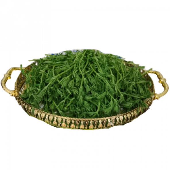 Yoğurt Yapışkan Otu 75 Gr - 3