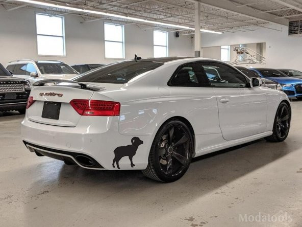 Kuzu Koyun Koç Silüeti Oto Araba Sticker