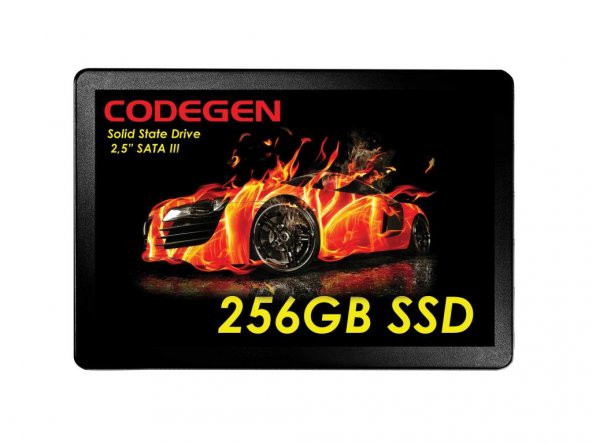 CODEGEN 256GB 2,5" 500MB-450MB/S SSD DİSK CDG-256GB-SSD25