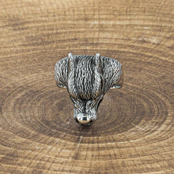 925 Ayar Gümüş Kurt Kafası Motifli Yüzük - Resim 4