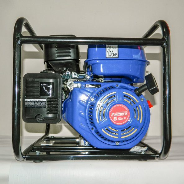 Palmera PA20T Benzinli 2 Su Motoru - 6.5 Hp - 2