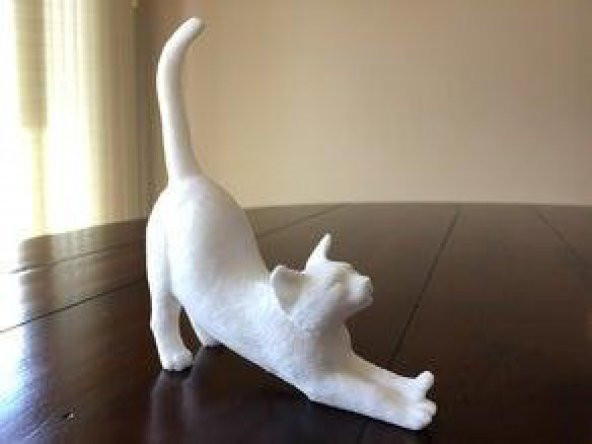 Esneyen Kedi Dekoratif Biblo Dekor Hediyelik Süs Eşyası Masaüstü - 10