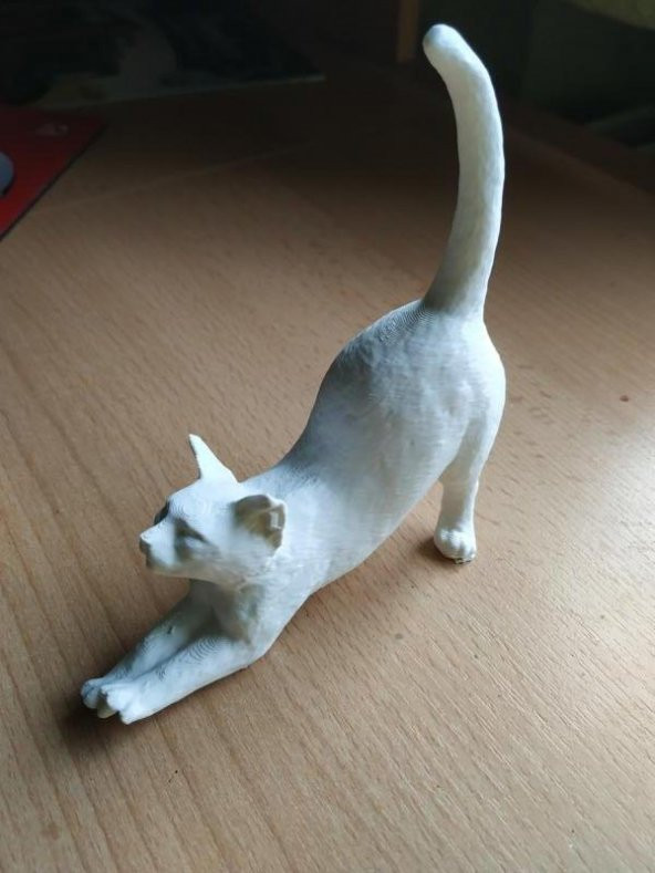 Esneyen Kedi Dekoratif Biblo Dekor Hediyelik Süs Eşyası Masaüstü - 12