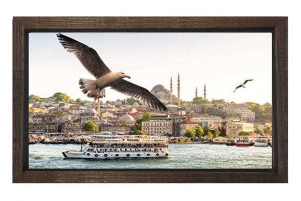 İstanbul ve Martılar Tablosu - 1