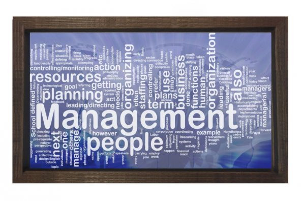 Managment Yönetim Tablosu