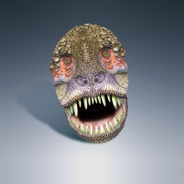 Canavar Karton Maske, Çocuk Maskesi, Parti Maskesi