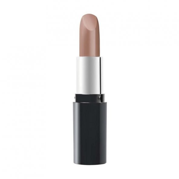 Pastel Nude Lipstick Ruj No:531