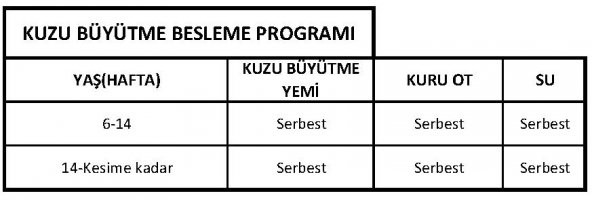 KUZU YEMİ PELET (KUZU BÜYÜTME) - MİKTAR SEÇİNİZ - 3