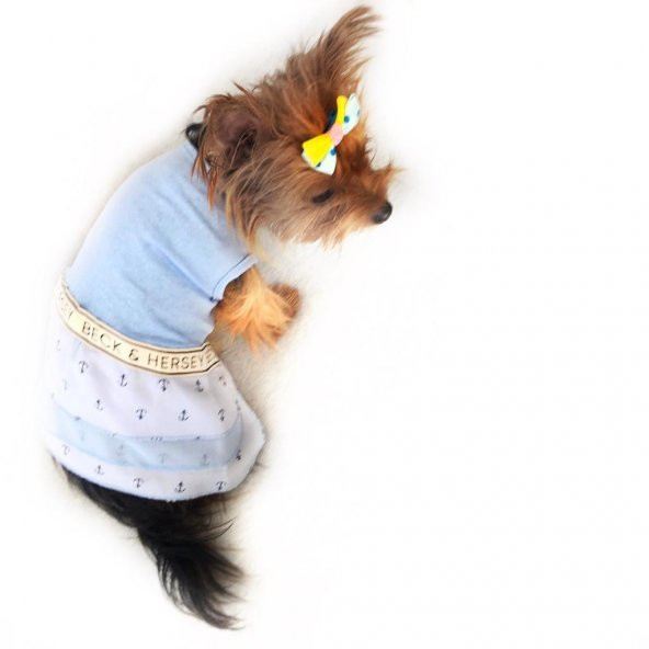Blue Hersey Beck Köpek Elbisesi Köpek Kıyafeti
