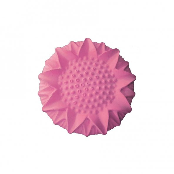 BEAKS Çilek Aromalı Gaga Taşı - Tekli - 2