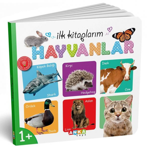 Diy-Toy İlk Kitaplarım Serisi Eğitici 6Lı Set - 2