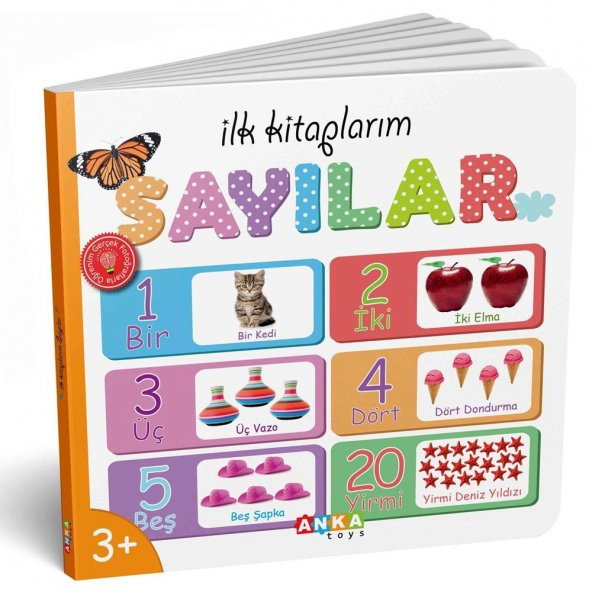 Diy-Toy İlk Kitaplarım Serisi Eğitici 6Lı Set - 4