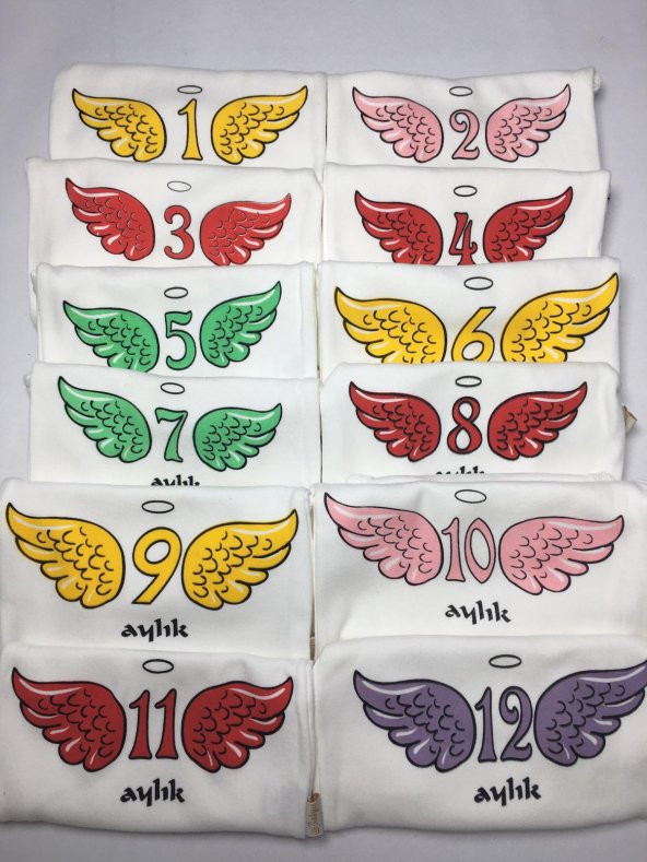 1-12 Aylık Kız Bebek Anı Çıtçıtlı Body Zıbın Seti Özel Baskılı Melek Hatıra Badi - 4