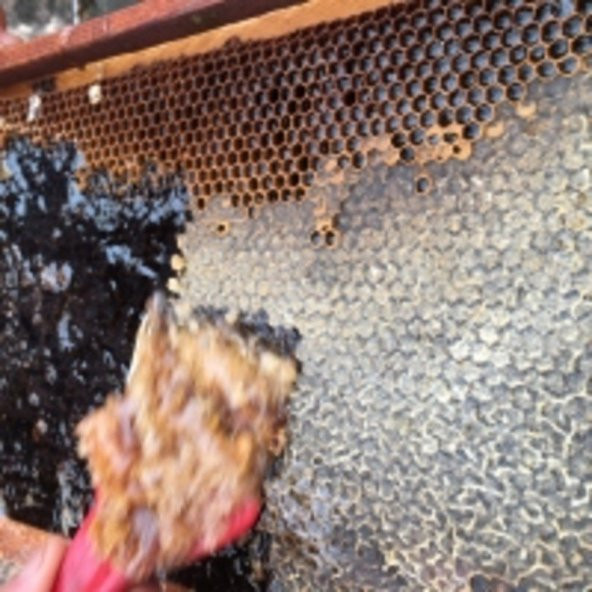 Doğal Süzme Çiçek Balı 27 Kg Teneke - 6