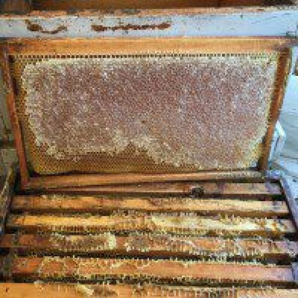 Ham Bal 100 Doğal 500 Gr Üreticiden Doğal Halde Donmuş Ham Bal - 4