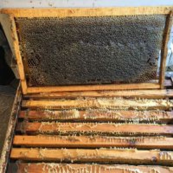 Karakovan Balı Sivas Kangal Yöresi 1400 Gr Doğal Bal - Resim 7