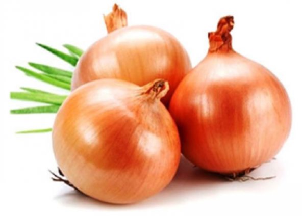 10 KG ORGANİK DOĞAL YERLİ ÜRETİM KIŞLIK TAZE ORTA BOY KURU SOĞAN KÜRÜ İÇİN UCUZ