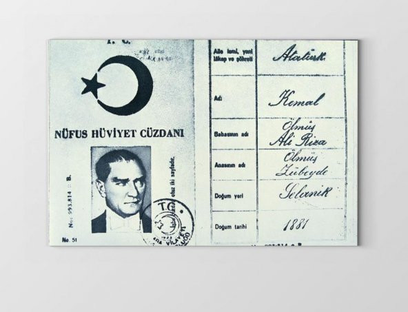Atatürk Nüfüs Kağıdı Tablosu