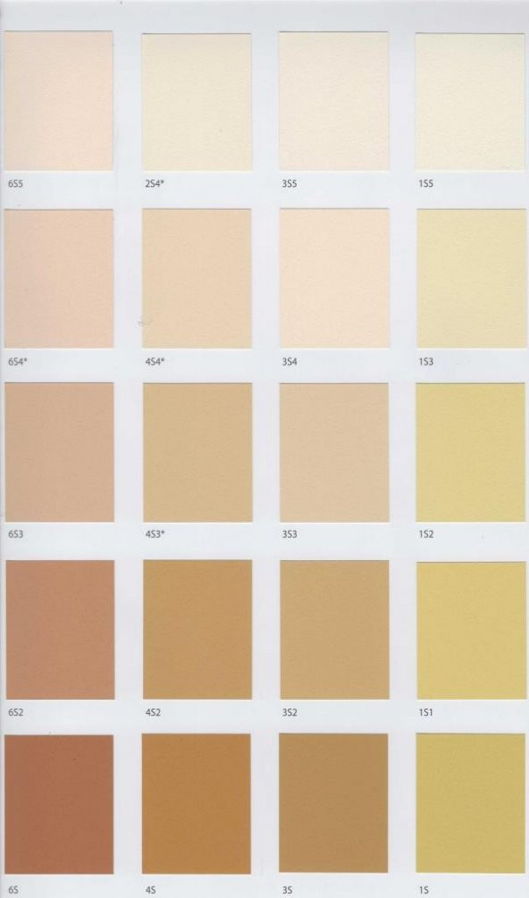 Filli Boya Aqusto Acryl Silk Saf Akrilik Dış Cephe Boyası 15 Lt - 5