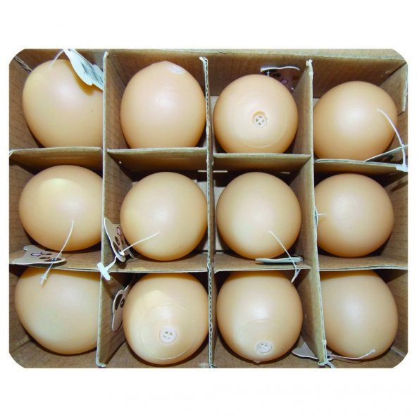 EASTLAND PLASTİK YUMURTA OYN. 12Lİ 5CM - 2