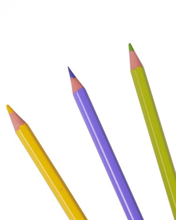 Bic Kids Tropicolors İnce Kuru Kalem Boya Seti 12'li - Resim 2