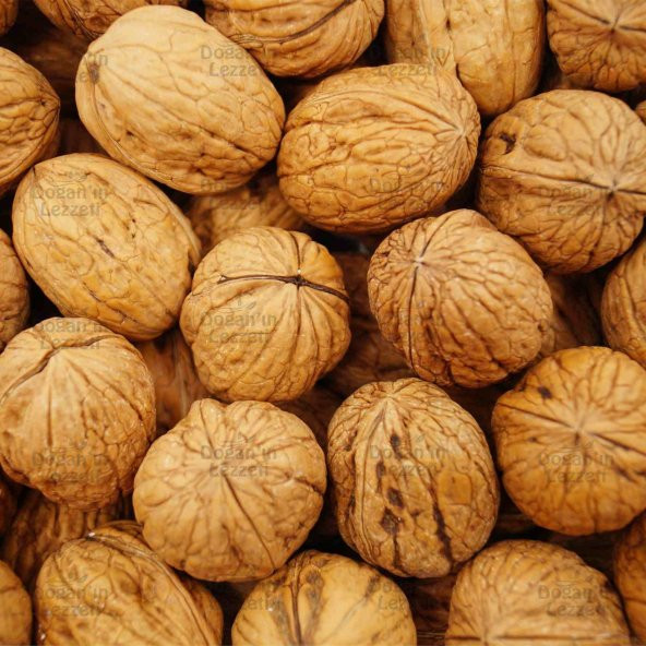 Kabuklu Ceviz 1 KG - 8