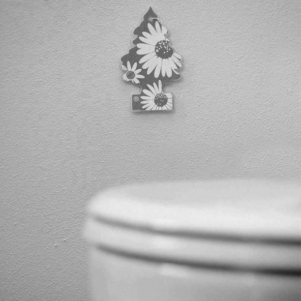 Little Trees Midnight Chic Asma Oto Kokusu 6 Adet - 6