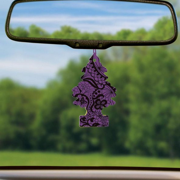 Little Trees Midnight Chic Asma Oto Kokusu 12 Adet - 3