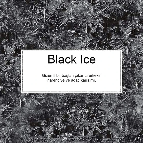 Little Trees Black Ice Asma Oto Kokusu 12 Adet - 4