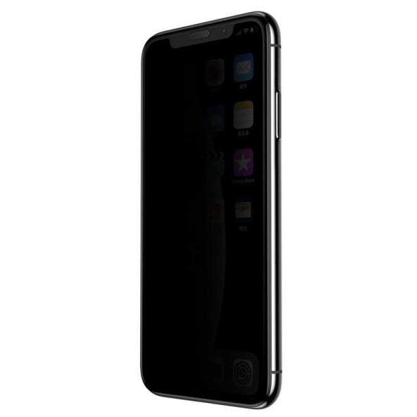 Apple iPhone XS Max 6.5 Zore Anti-Dust Privacy Temperli  Ekran Koruyucu - 2