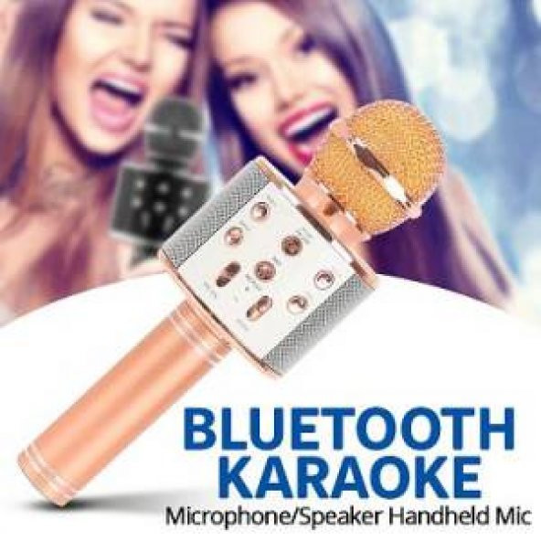 Orijinal WSTER WS-858 Karaoke mikrofon Ses Değiştirme Özellikli - 2