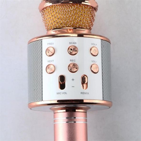 Orijinal WSTER WS-858 Karaoke mikrofon Ses Değiştirme Özellikli - 6