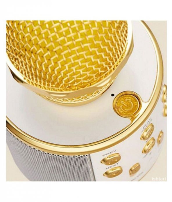 Orijinal WSTER WS-858 Karaoke mikrofon Ses Değiştirme Özellikli - 9