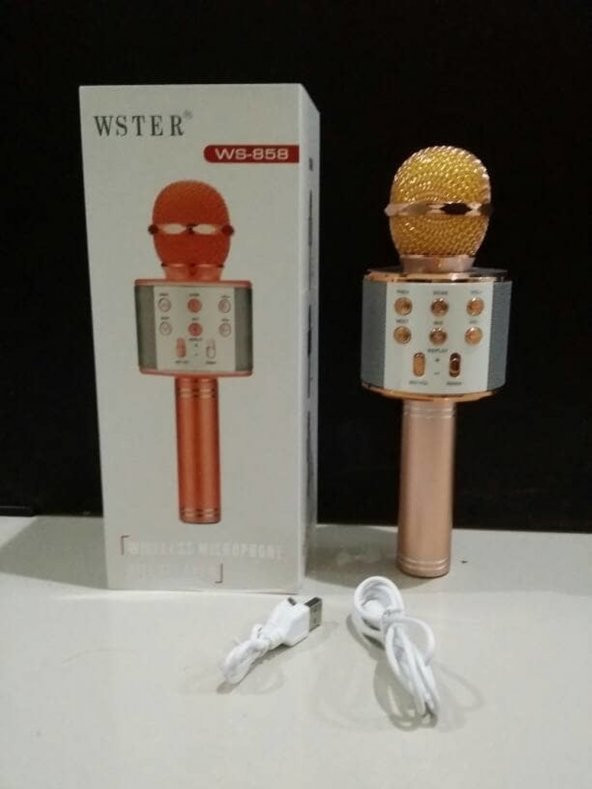 Orijinal WSTER WS-858 Karaoke mikrofon Ses DeÄŸiÅŸtirme Ã–zellikli - 12