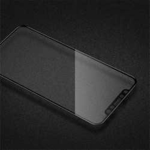 Apple iPhone XS Max 6.5  Evastore 3D Latte Cam Ekran Koruyucu - 2
