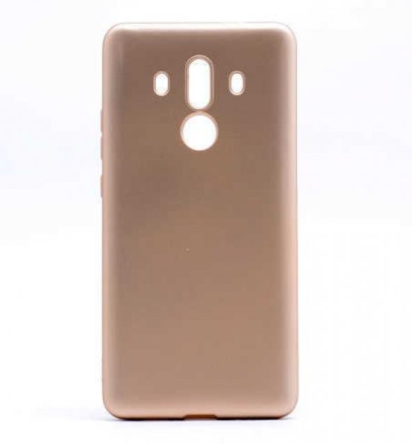 Huawei Mate 10 Pro Kılıf  Evastore Premier Silikon - 3