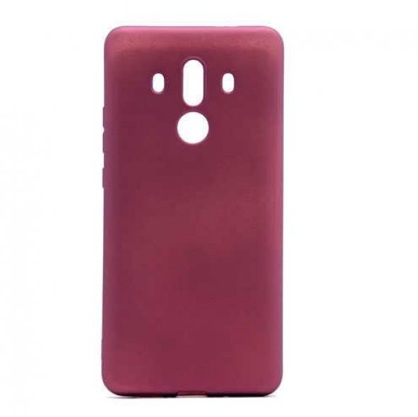 Huawei Mate 10 Pro Kılıf  Evastore Premier Silikon - 5