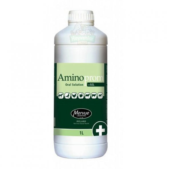 Mervue Amino Prom Sel Vitamin ve Aminoasit 1 LT