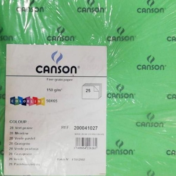 Canson Colorline Fon Kartonu 50x65 cm 150 Gr 25 Adetli Paket Yeşil Pastel - Verde Pastel - İnce Dokulu - 1